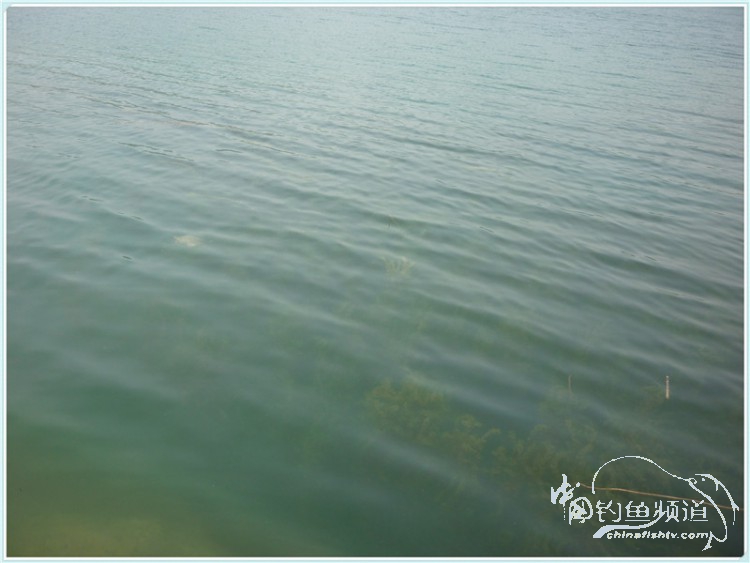 游钓中国丹江口市之行,游钓丹江300天