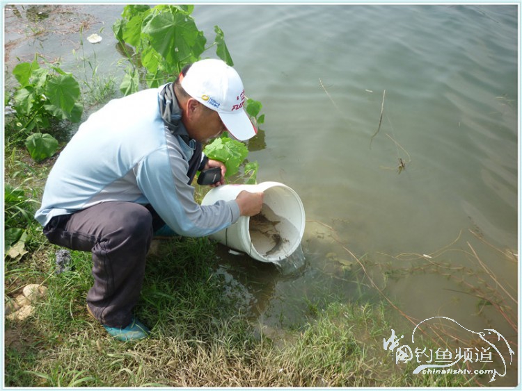 游钓中国丹江口市之行,游钓丹江300天