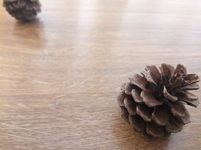 乐2为什么那么便宜,乐2什么时候出的