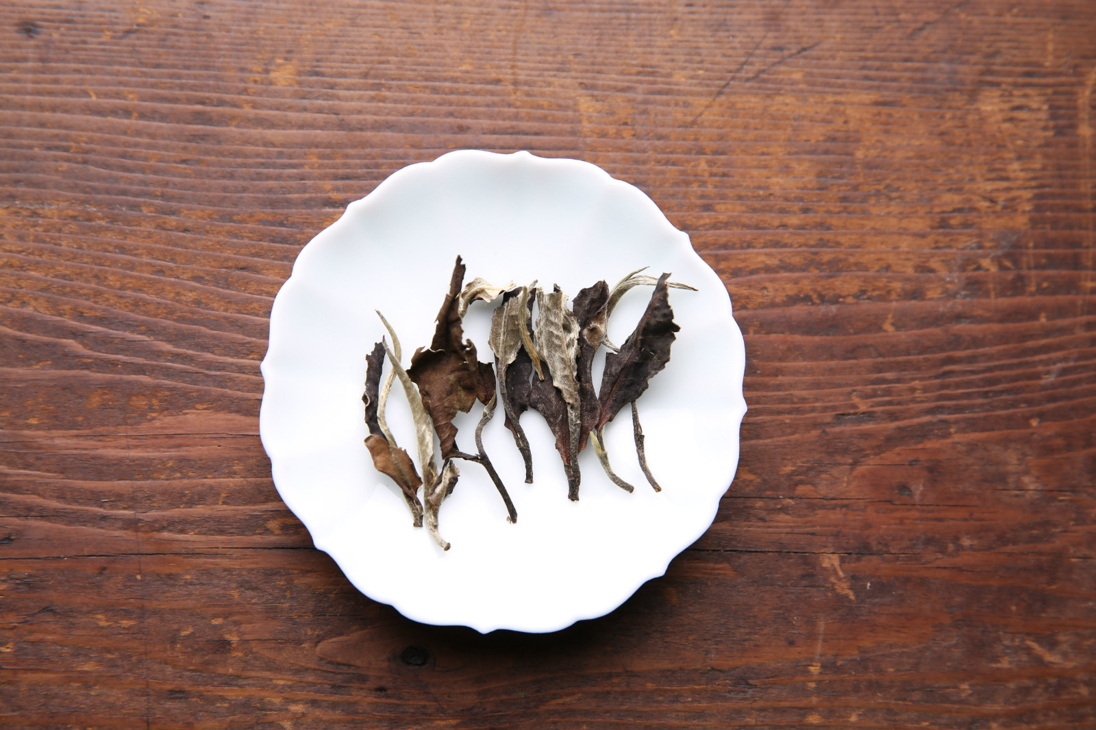 喂，福建白，你们家来了个亲戚叫云南白！