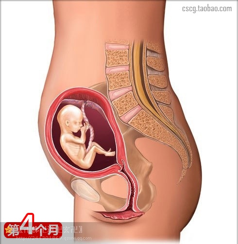 受益匪浅新手爸妈必读