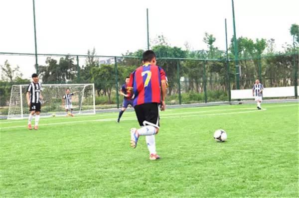 欧洲杯足球在哪里踢得好,2024年欧洲杯足球场一览表最新版