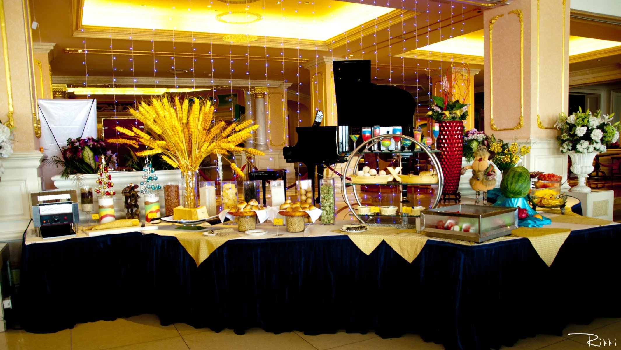 巢湖碧桂园南岸,巢湖南岸碧桂园