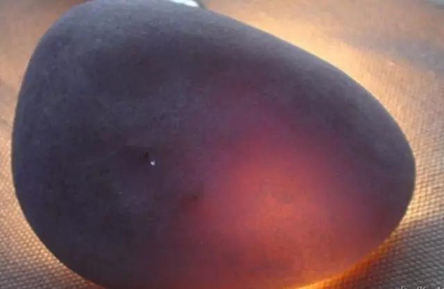 绱壊鐨勭俊缈犲垎鍝嚑绉嶈壊,绱壊缈＄繝浼氬け鑹插悧