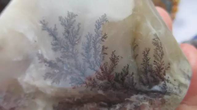 鍗氶泤鐭宠僵,鍗氶泤杞╁灞辩煶