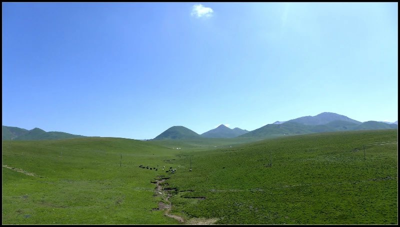 自由在高处的主要内容,自由在高处合集