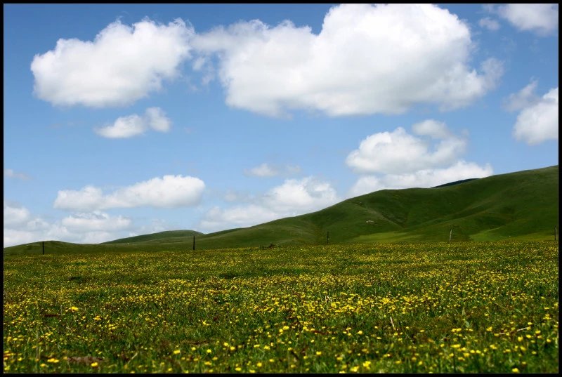 自由在高处的主要内容,自由在高处合集