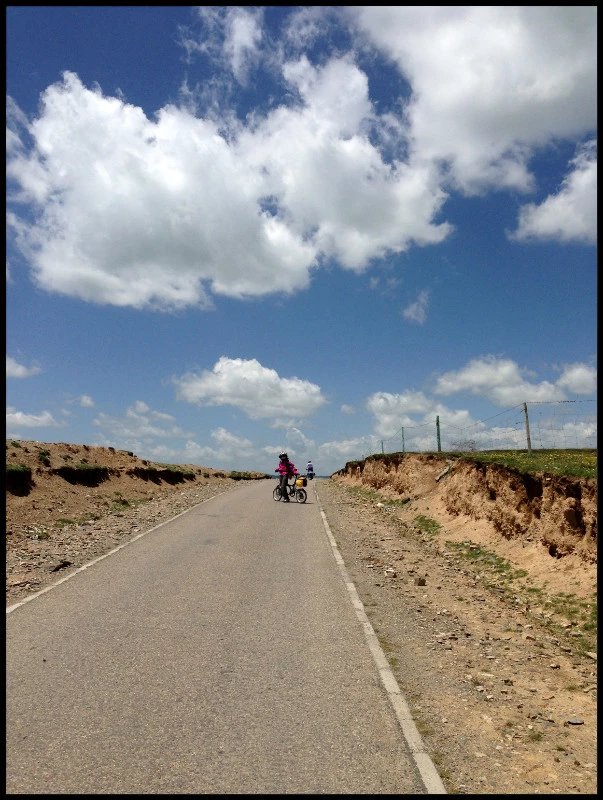 自由在高处的主要内容,自由在高处合集