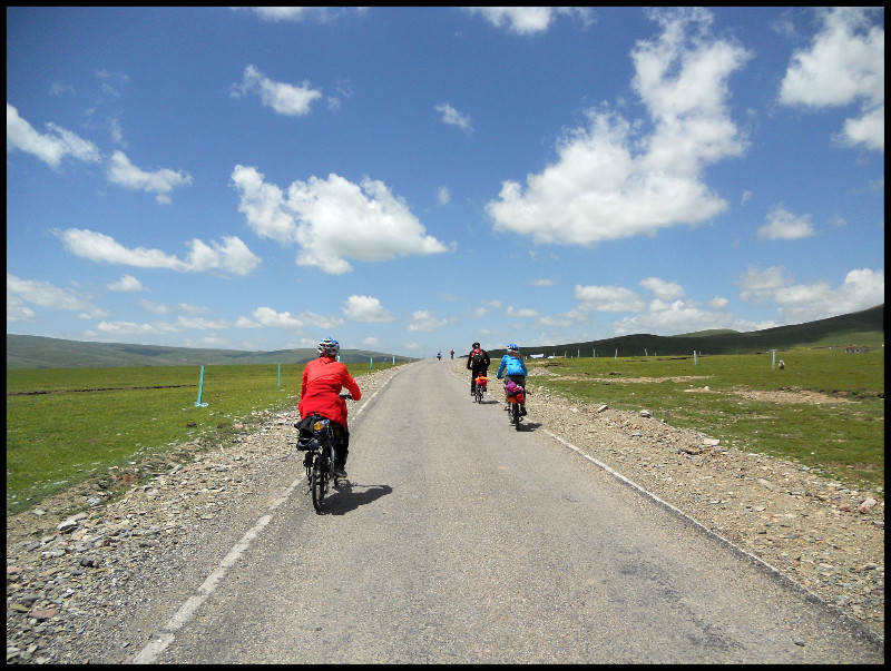 自由在高处的主要内容,自由在高处合集