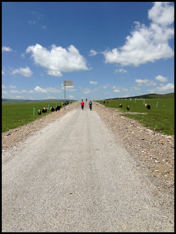 自由在高处的主要内容,自由在高处合集