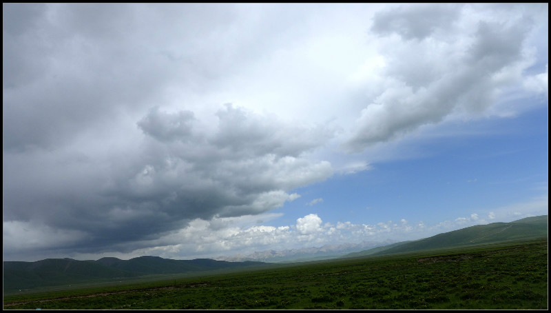 自由在高处的主要内容,自由在高处合集
