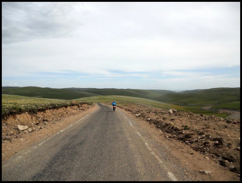 自由在高处的主要内容,自由在高处合集