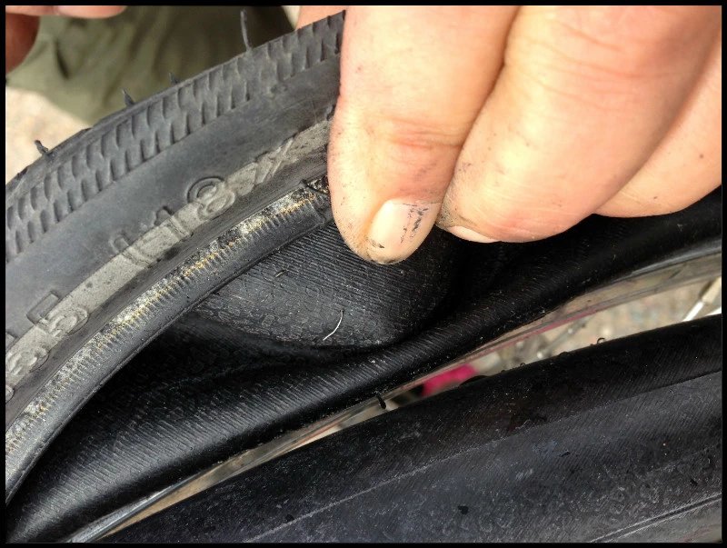 自由在高处的主要内容,自由在高处合集