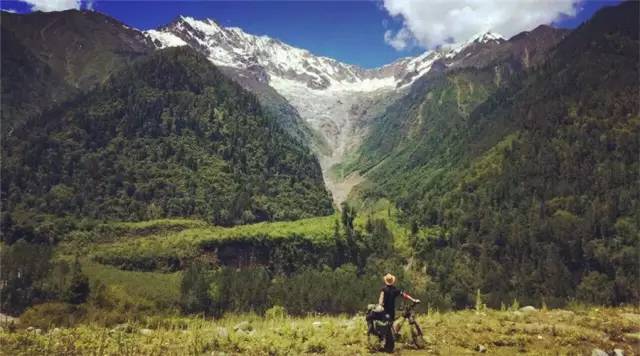 一个人一只猫骑行,一个人一猫一狗的生活