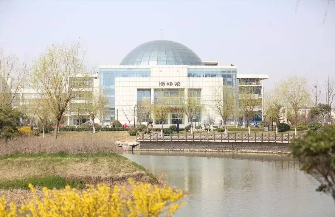 上帝之眼看东营,上帝之眼看遍合肥