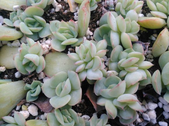 织物硬挺度测试仪有哪些,江苏全自动织物硬挺度测试仪简介