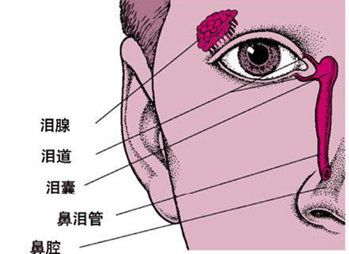 小孩子眼睛有很多眼屎是怎么回事,宝宝眼睛上火起眼屎用什么药