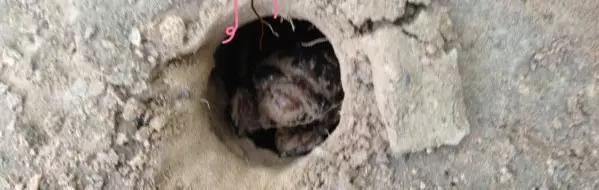 濮阳摸爬叉的地方,濮阳老城摸爬叉的地方