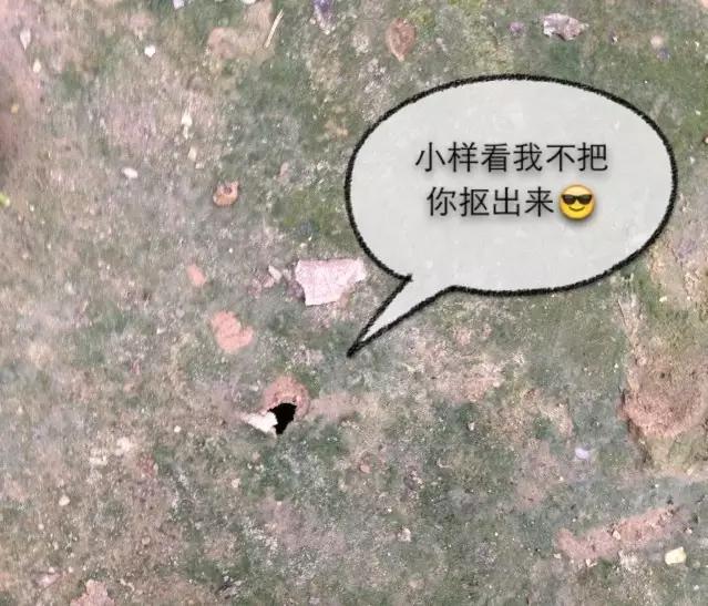 濮阳摸爬叉的地方,濮阳老城摸爬叉的地方