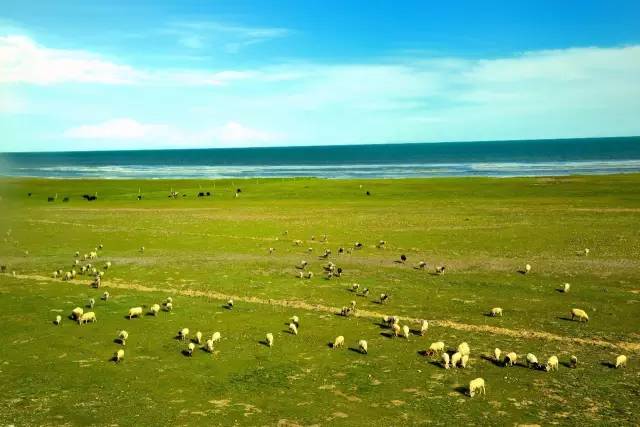 适合毕业旅行性价比比较高的景点,毕业旅行适合去哪儿玩儿