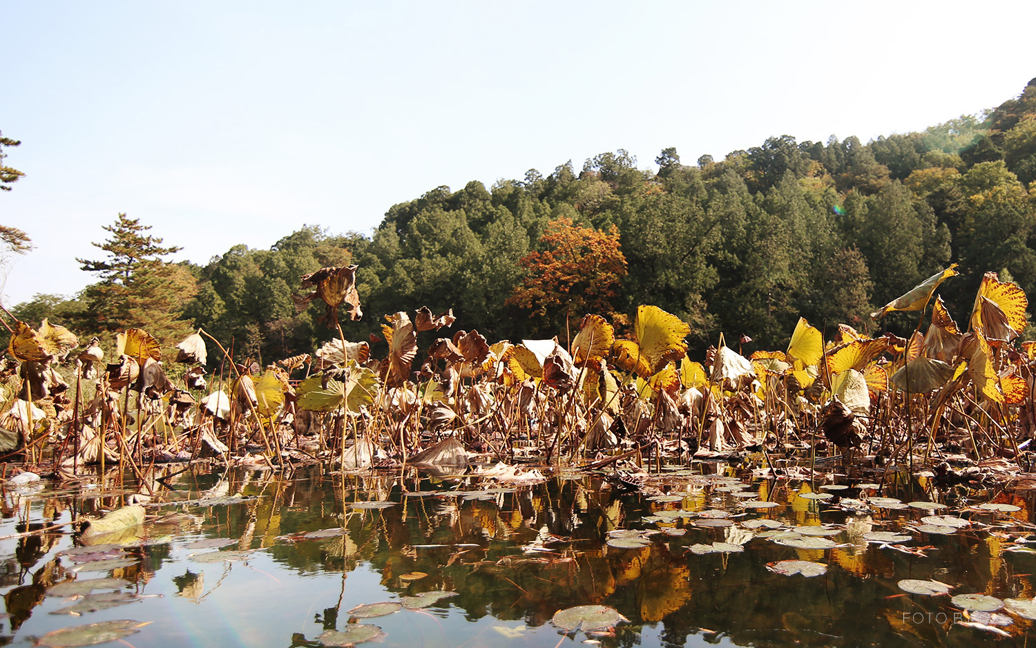 内在差异化的体现-乐2Pro测评