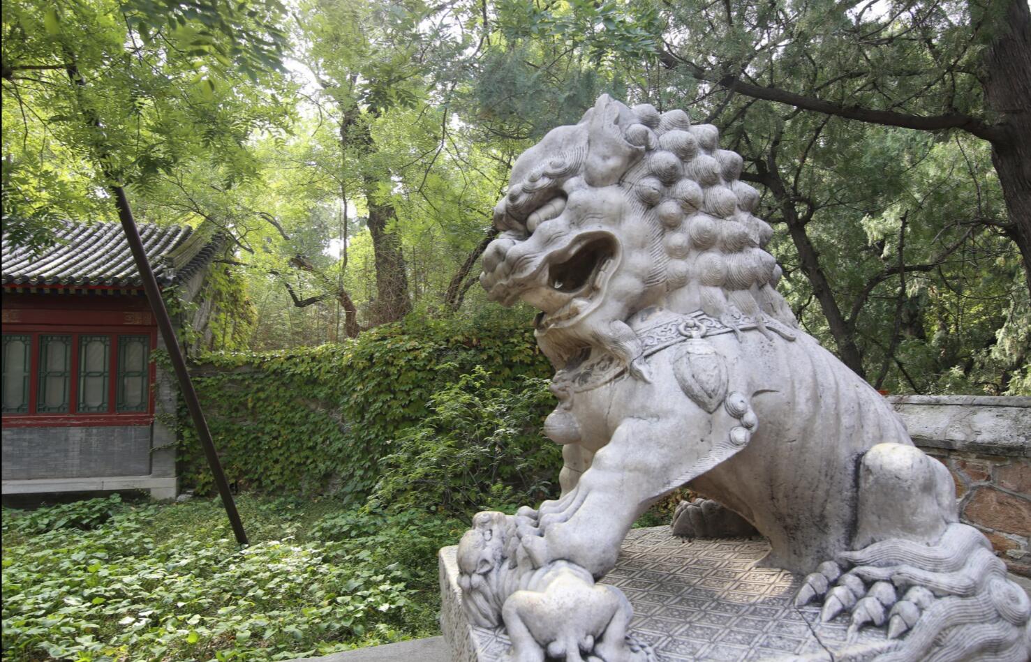 内在差异化的体现-乐2Pro测评