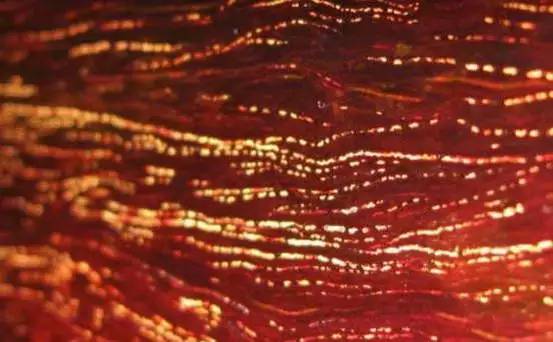 品鉴木头完整版,品鉴一般鉴别什么物品