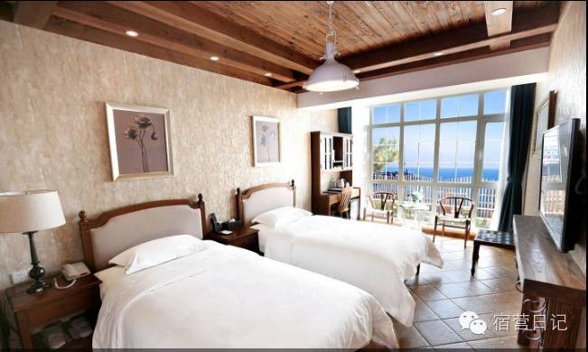 没去青岛也能看到海鸥,没去青岛的人对这个城市的印象