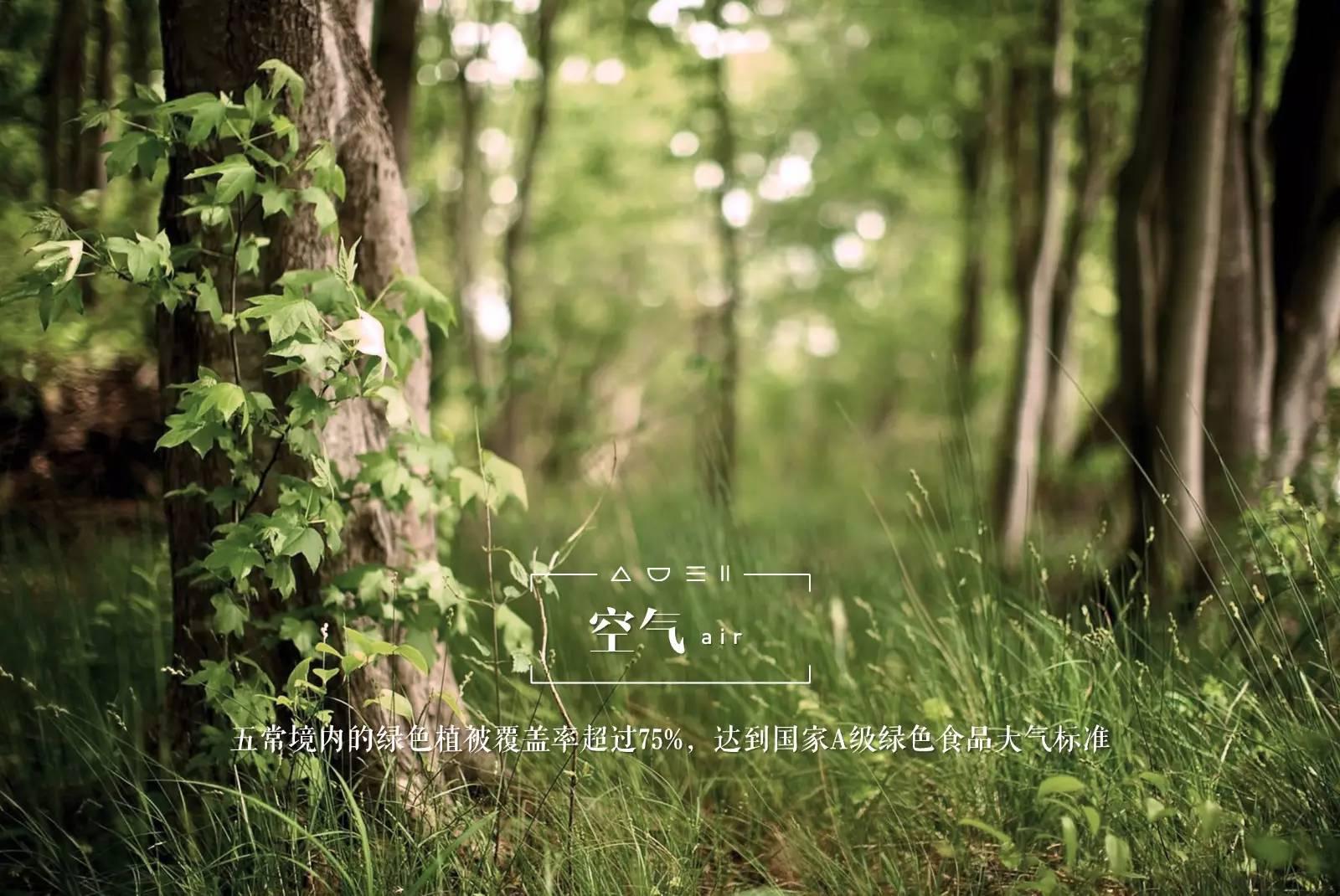 脚气病人的福音,脚气病患者的福音