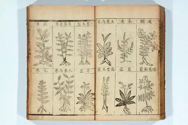 定坤丹水蜜丸的功效和作用,绝经后吃定坤丹的功效与作用