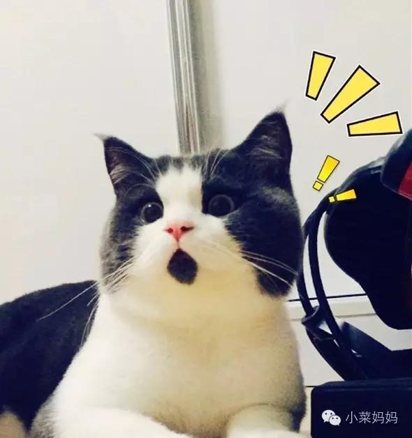 我为什么摸小鸡鸡,麻麻你造嘛?