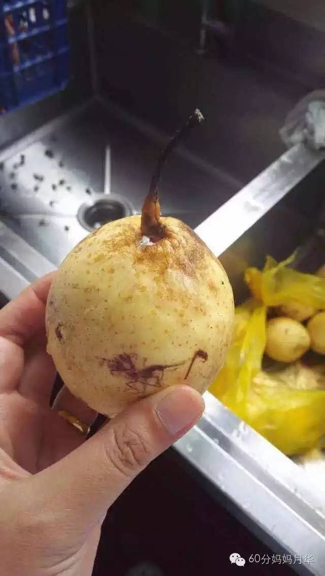 上海幼儿园感染事件,幼儿园厨房被曝光