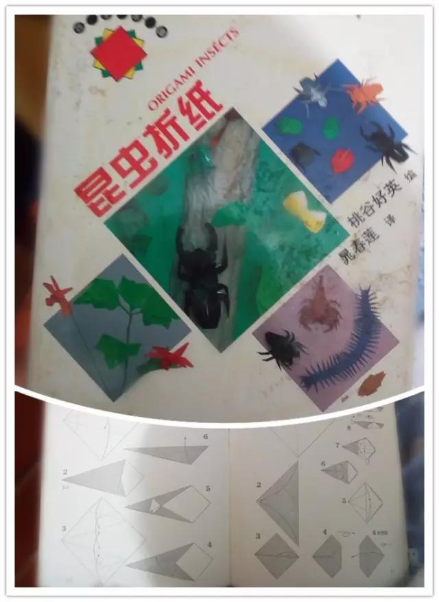 听说你要上山了?行囊里可不能少了给孩子们的“大礼包”(上篇)