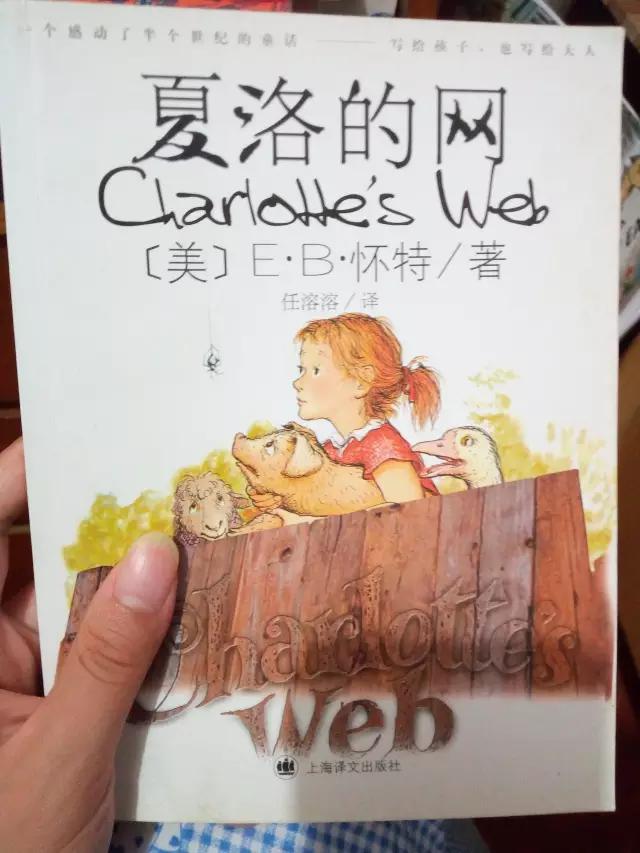 听说你要上山了?行囊里可不能少了给孩子们的“大礼包”(上篇)