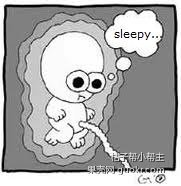 孕期能去看演唱会吗,怀孕晚期可以看演唱会