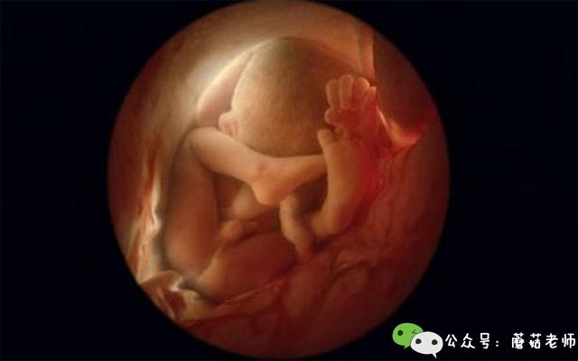 人流清宫后小腹胀,人流手术后十天后胚胎还在肚子里