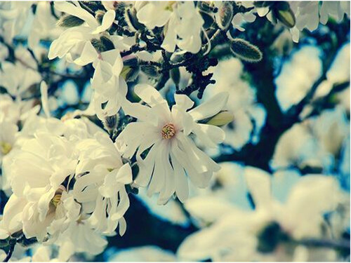 qq空间个性签名不是每个恋爱中的人，都是美好的