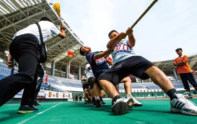文登好的武术馆,文登市体育公园在哪里