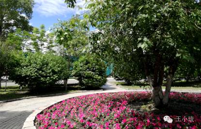 华为g9青春版区别,华为g9青春版介绍