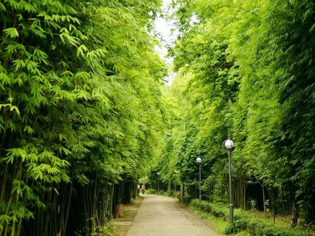 花溪哪些地方适合旅游,花溪哪里旅游最好