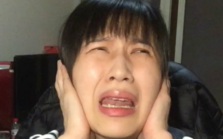 和papi酱很像的整容网红 (papi酱为什么会被称为网红鼻祖)