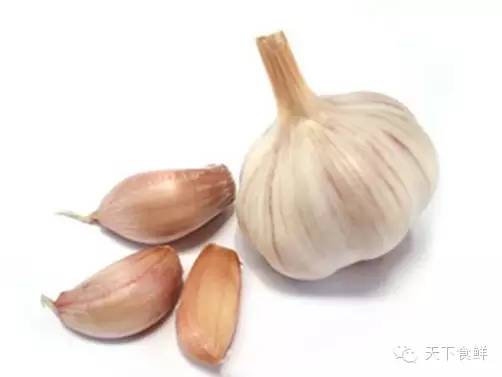 抗生素还是天然的好,你知道的有哪些?