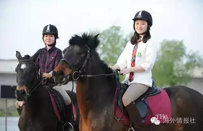 起底家门口的“洋学校”：一年学费几十万，拼爹也未必能读的上