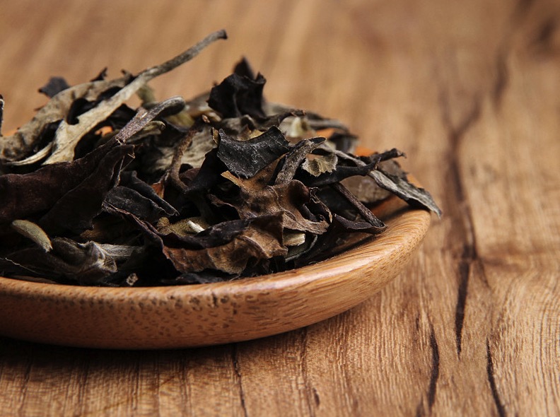 喂，福建白，你们家来了个亲戚叫云南白！