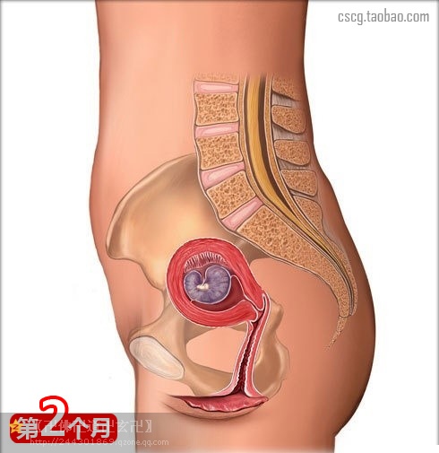 受益匪浅新手爸妈必读