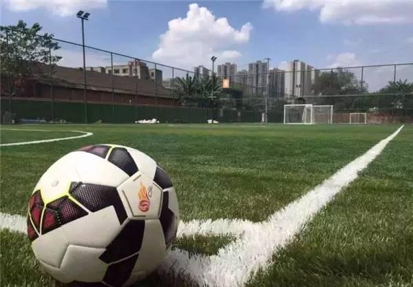 欧洲杯足球在哪里踢得好,2024年欧洲杯足球场一览表最新版