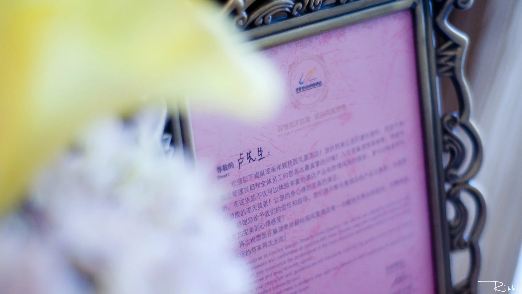 巢湖碧桂园南岸,巢湖南岸碧桂园