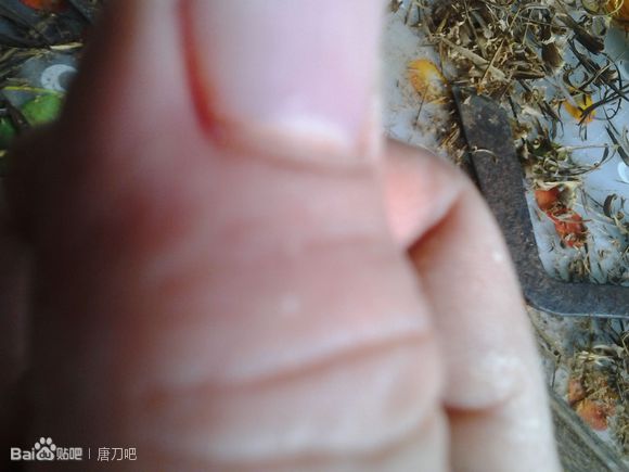 刀鞘两半了怎么修补,刀鞘变形怎么修复