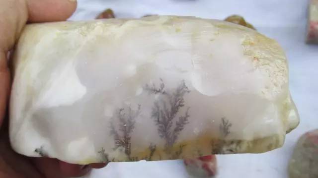 鍗氶泤鐭宠僵,鍗氶泤杞╁灞辩煶