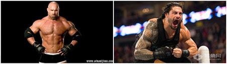 wwe15秒淘汰赛,wwe十五大可能事件